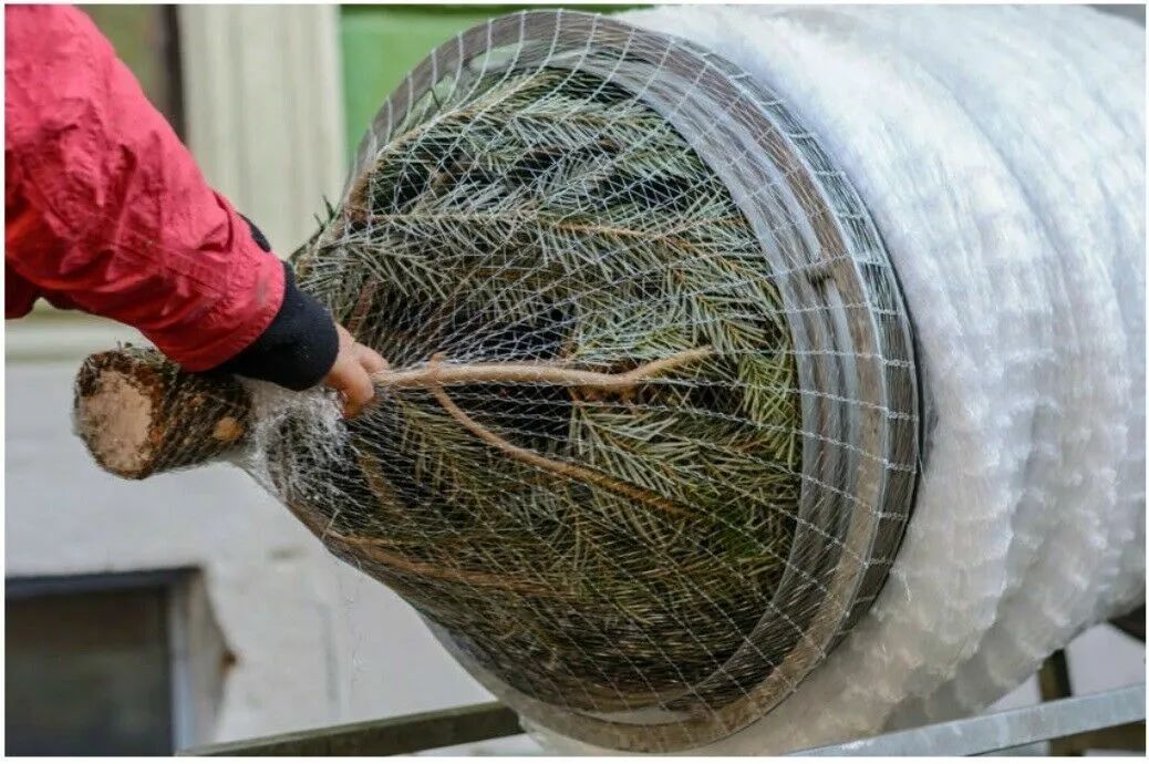 Vijf Tips voor het Perfect Versieren van je Kerstboom